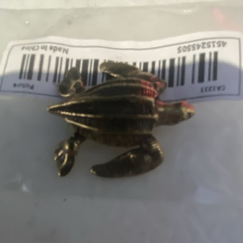 Small leather back sea - small, turtle