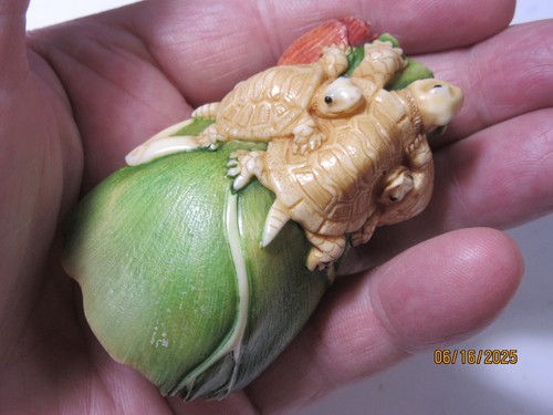 Large small turtles lotus - turtles,