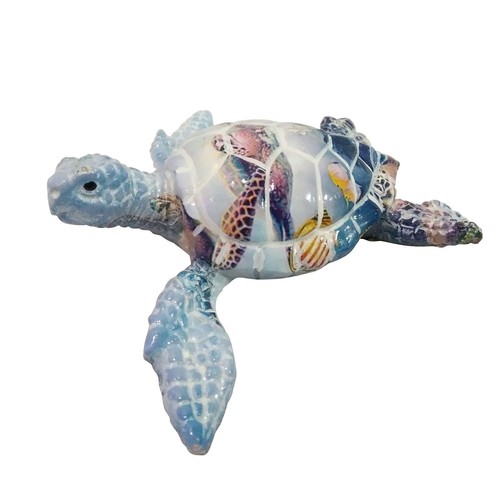 Beachcombers b22750 small - beachcombers,