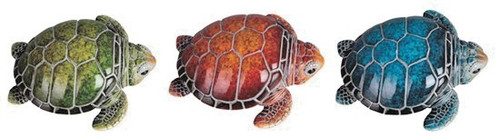 Three baby sea turtle - three,