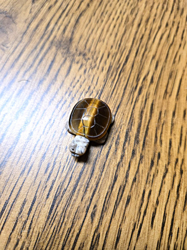 Small collectible turtle - small,